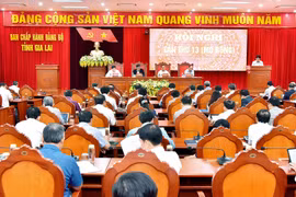 Khai mạc Hội nghị Ban Chấp hành Đảng bộ tỉnh Gia Lai lần thứ 13 (mở rộng)