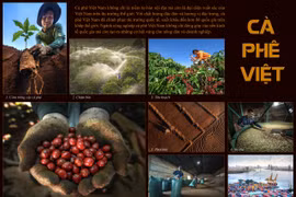 Liên hoan ảnh nghệ thuật khu vực Nam Trung bộ và Tây Nguyên lần thứ 29: Gia Lai giành huy chương vàng duy nhất 