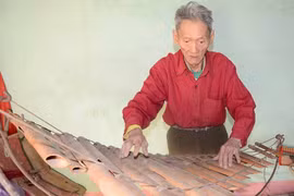 Gia Lai: Tổ chức chương trình âm nhạc tri ân cố Nghệ sĩ Ưu tú Nay Pharr 