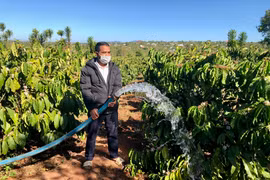 Người dân xã Glar (huyện Đak Đoa) tưới nước cho cây cà phê với hy vọng niên vụ mới có vụ mùa bội thu. Ảnh: Lê Nam 