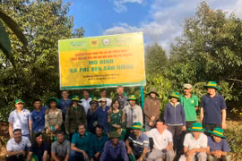 Các chuyên gia, nhà khoa học, người nông dân tham quan mô hình cà phê xen sầu riêng tại xã Ia Nhin. Ảnh: Lê Nam