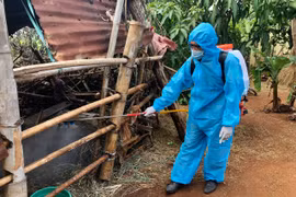 Lực lượng chức năng huyện Đak Đoa phun tiêu độc, khử trùng khu vực chăn nuôi để hạn chế véc tơ gây bệnh. Ảnh Lê Nam 