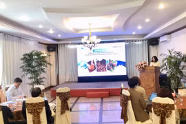 Quang cảnh lớp đào tạo thực tiễn chiến lược xây dựng thương hiệu và tiếp thị cho các nhà sản xuất cà phê mang chỉ dẫn địa lý “Gia Lai”