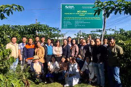 Các đại biểu đã đi tham quan mô hình trồng mới và thâm canh chanh leo theo VietGAP tại xã Ia Tiên (huyện Chư Sê). Ảnh: Lê Nam