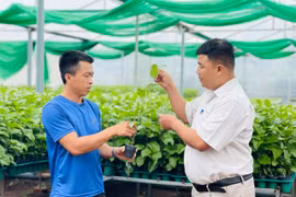 Đề xuất nhiệm vụ khoa học và công nghệ tỉnh Gia Lai năm 2025