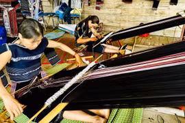 Đak Pơ: Trên 12.000 phụ nữ tham gia vào 218 mô hình, câu lạc bộ