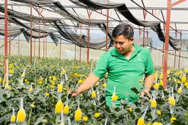 Gia Lai triển khai 42 nhiệm vụ khoa học công nghệ trong lĩnh vực nông-lâm nghiệp