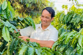 Trưởng thôn Rơ Châm Ó đi đầu trong phát triển kinh tế ở làng Bồ