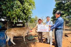 Gần 1 tỷ đồng hỗ trợ nạn nhân chất độc da cam/dioxin sản xuất chăn nuôi