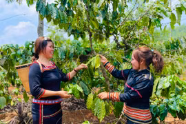 Chư Sê có 19 câu lạc bộ phụ nữ dân tộc thiểu số tiết kiệm, phát triển kinh tế