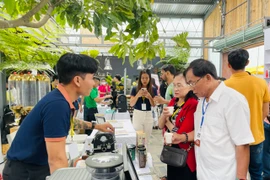 Khai mạc Gia Lai Coffee Festival với chủ đề "Gia Lai-Vùng nguyên liệu chất lượng cao"