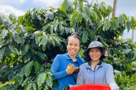 Tình nguyện viên nông nghiệp: Cho đi và nhận lại