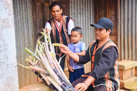 Ông Kơ Pă Jiâu tiên phong đưa cây mía tím về Ia Kênh