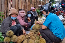 Dạo chợ quê trên cao nguyên Pleiku