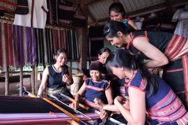 Bảo tồn và phát huy giá trị di sản văn hóa trên địa bàn tỉnh Gia Lai