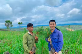 Kỹ sư trẻ Gia Lai nhận học bổng về nông nghiệp tại Thái Lan