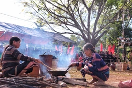 Phục dựng lễ mừng lúa mới ở làng Đak Mong