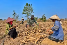 Ra mắt Câu lạc bộ Nông dân với pháp luật tại xã Đất Bằng