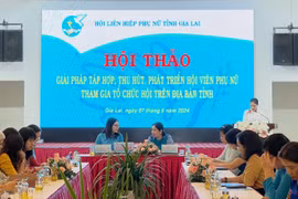Gia Lai: Bàn giải pháp thu hút hội viên phụ nữ tham gia tổ chức Hội Phụ nữ