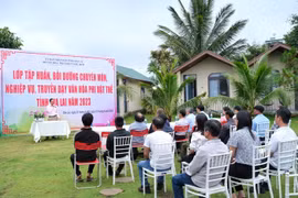 Gia Lai: Bồi dưỡng chuyên môn, nghiệp vụ, truyền dạy văn hóa phi vật thể cho nghệ nhân Bahnar