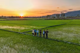 “Bức họa” Chư Jôr