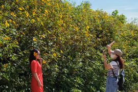 Tuần Văn hóa-Du lịch Gia Lai năm 2023 thu hút trên 165 ngàn lượt khách