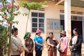 Gia Lai: Bồi dưỡng nghiệp vụ cho 77 cán bộ Hội Phụ nữ cơ sở