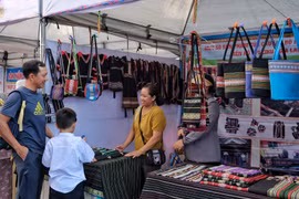 Gia Lai tổ chức chuỗi hoạt động hỗ trợ phụ nữ khởi nghiệp