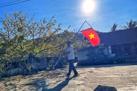 Rực rỡ sắc mai vàng trên cao nguyên Gia Lai 