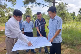 Kiểm tra hoạt động kinh doanh mua bán chế biến gỗ gia công tại xã Hải Yang