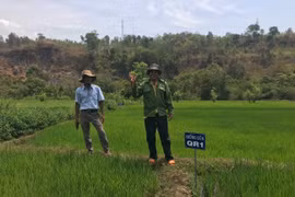 Hơn 2,1 tỷ đồng phát triển các mô hình khuyến nông