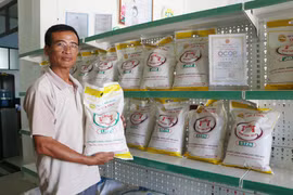 Nhiều giải pháp thúc đẩy Hợp tác xã phát triển