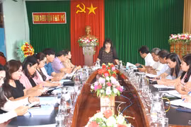 Giám sát về phát triển đội ngũ cán bộ, công chức, viên chức dân tộc thiểu số tại Đak Pơ