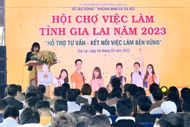 251 lao động được tuyển dụng trực tiếp tại hội chợ việc làm tỉnh Gia Lai năm 2023