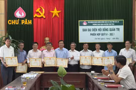 Chư Păh: 1.159 hộ nghèo, cận nghèo được vay vốn tín dụng chính sách