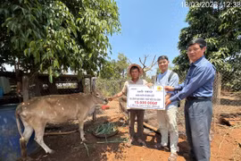 Chư Sê: Hơn 500 triệu đồng hỗ trợ nạn nhân chất độc da cam/dioxin