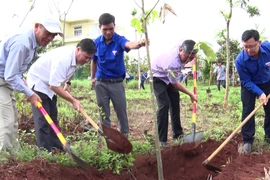 Đức Cơ phát động phong trào "Tết trồng cây đời đời nhớ ơn Bác Hồ”