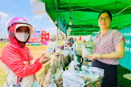 Đak Đoa: 30 gian hàng tham gia phiên chợ giới thiệu sản phẩm vùng dân tộc thiểu số 