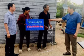 Tặng bò giống cho hộ có hoàn cảnh khó khăn xã Chrôh Pơnan