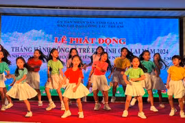 Gia Lai chung tay chăm sóc, bảo vệ trẻ em có hoàn cảnh khó khăn