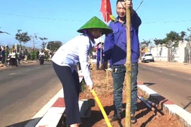 Chư Sê phát động Tết trồng cây “Đời đời nhớ ơn Bác Hồ”