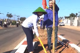 Chư Sê phát động Tết trồng cây “Đời đời nhớ ơn Bác Hồ”