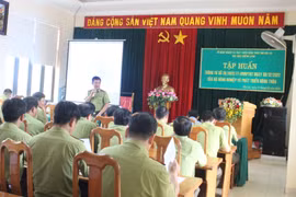 Tập huấn kiến thức về truy xuất nguồn gốc lâm sản