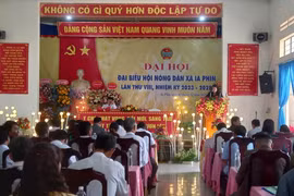 Gia Lai: Khuyến khích các cấp Hội Nông dân có công trình, phần việc chào mừng Đại hội 