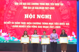 Gia Lai: Giảm tỷ lệ hộ nghèo từ 12,09% xuống còn 8,11% 