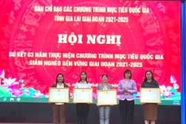 Gia Lai: Giảm tỷ lệ hộ nghèo từ 12,09% xuống còn 8,11% 