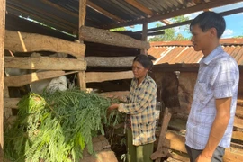 Mặt trận các cấp huyện Chư Sê quan tâm chăm lo đời sống hộ nghèo 