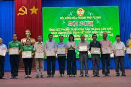 Thành phố Pleiku khen thưởng 51 tập thể, cá nhân sản xuất, kinh doanh giỏi 