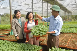 Tạo động lực thi đua sôi nổi để hội viên nông dân làm giàu 