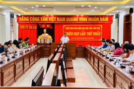 Tiểu ban Văn kiện Đại hội đại biểu Đảng bộ tỉnh Gia Lai lần thứ XVII họp phiên thứ nhất
